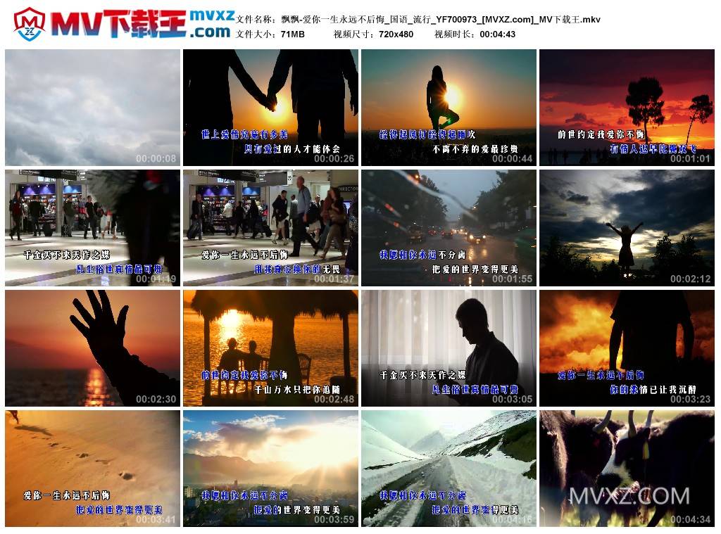 飘飘-爱你一生永远不后悔_国语_流行_YF700973